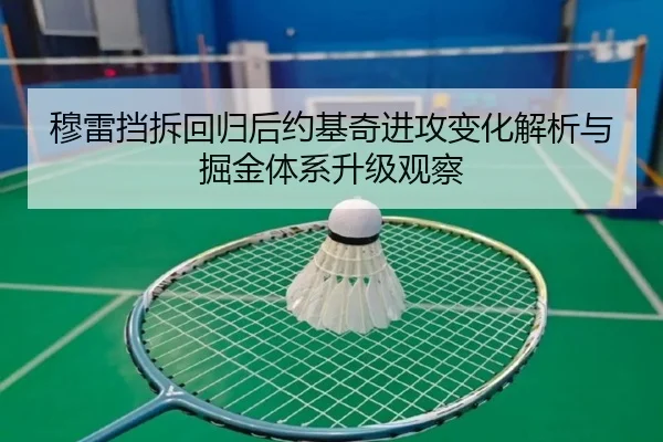 穆雷挡拆回归后约基奇进攻变化解析与掘金体系升级观察
