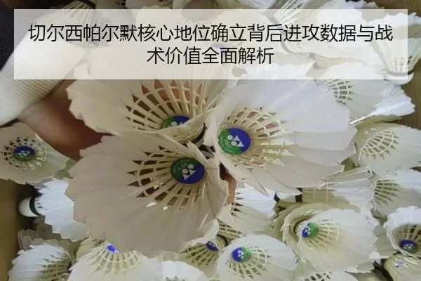 切尔西帕尔默核心地位确立背后进攻数据与战术价值全面解析