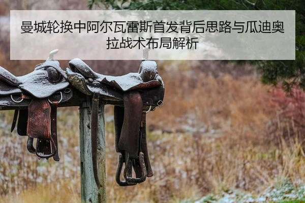 曼城轮换中阿尔瓦雷斯首发背后思路与瓜迪奥拉战术布局解析
